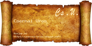 Csernai Uros névjegykártya